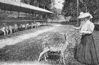 parc lyon