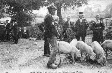 marche aux porcs