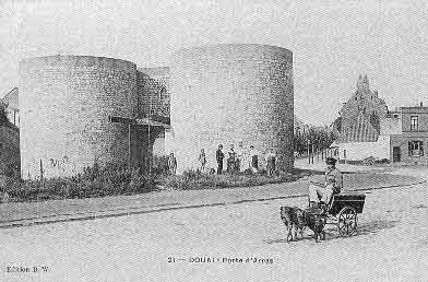 douai et attelage de chiens